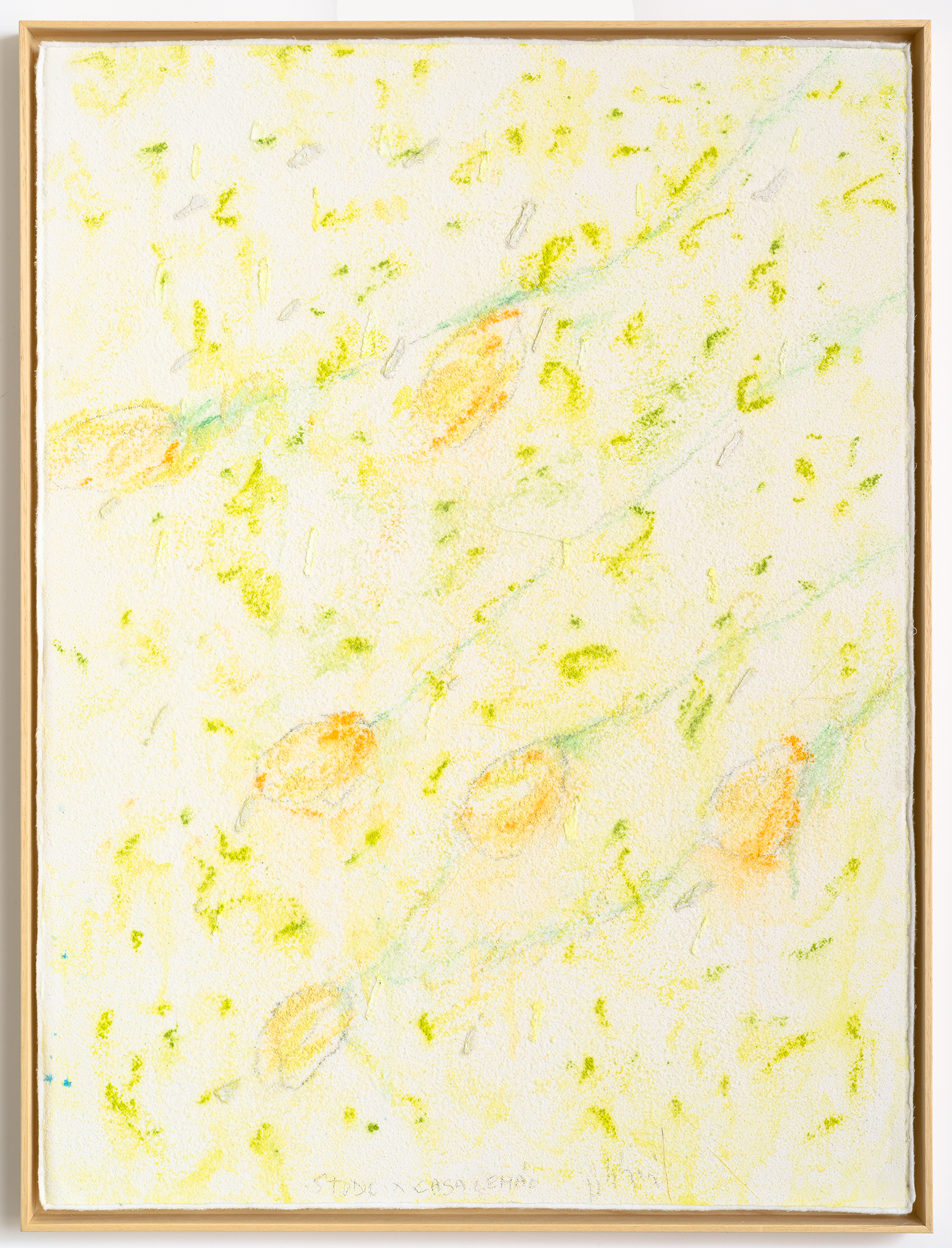 Untitled, from “Muitos estudos para uma casa de limão
