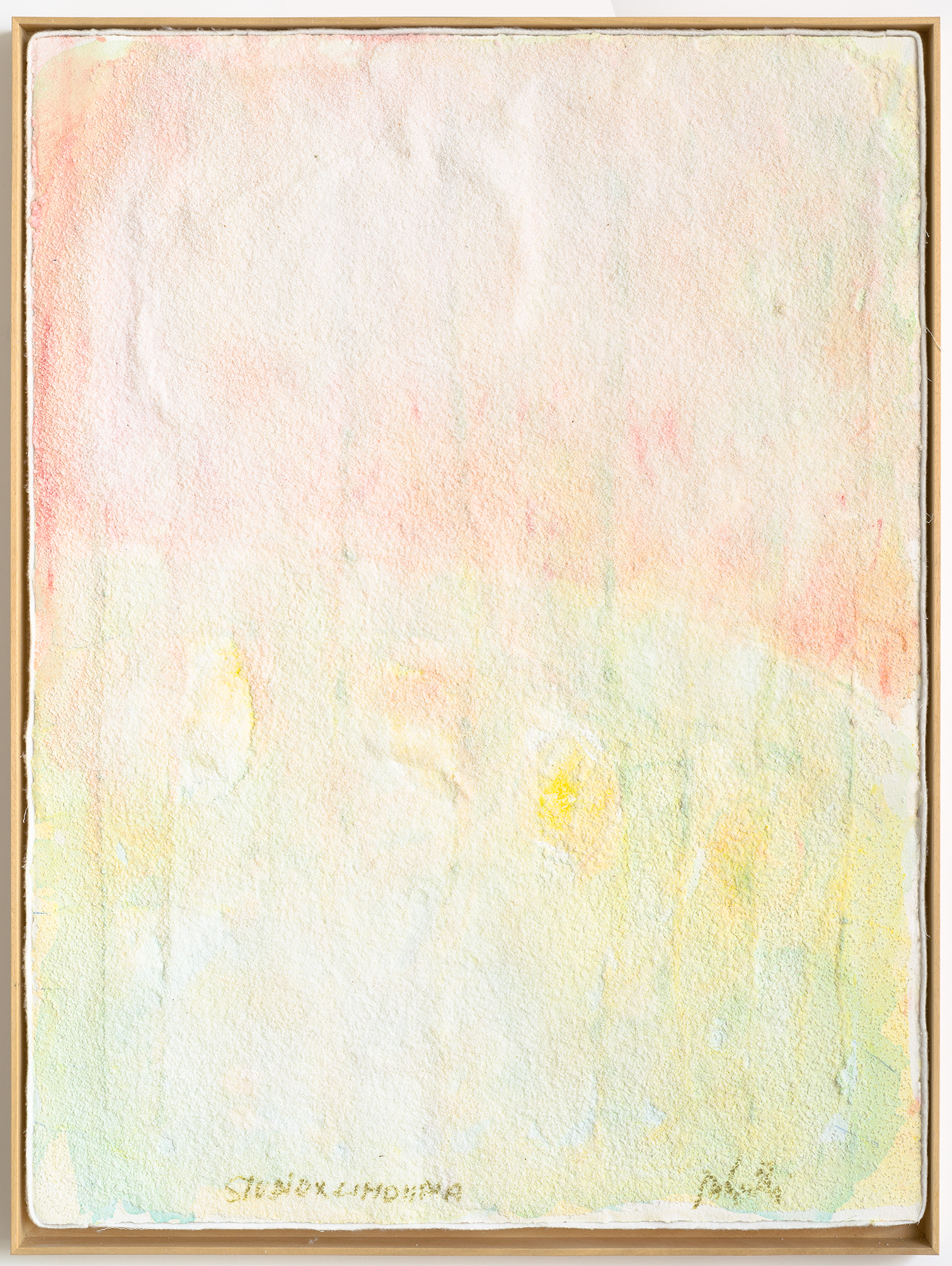 Untitled, from “Muitos estudos para uma casa de limão