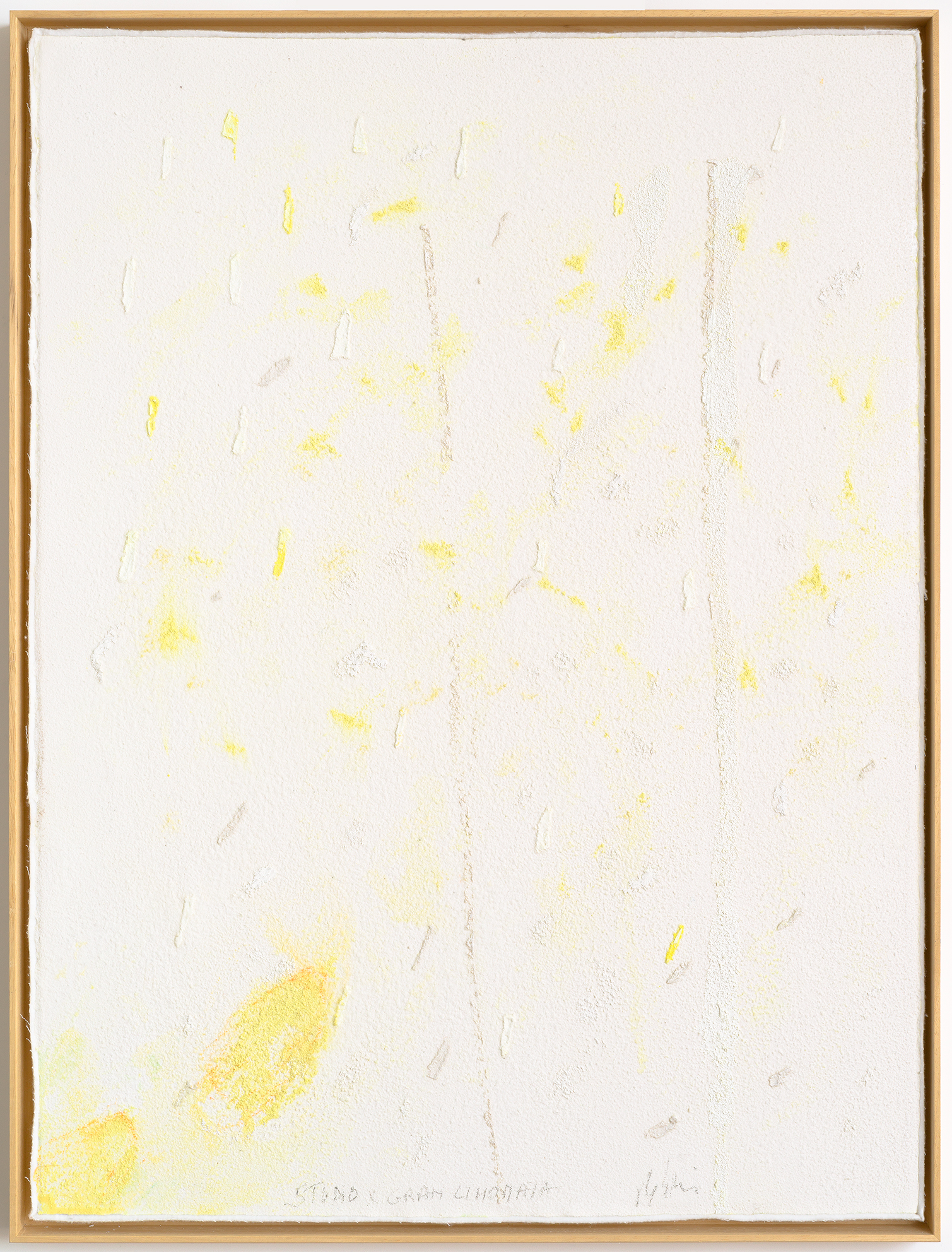 Untitled, from “Muitos estudos para uma casa de limão