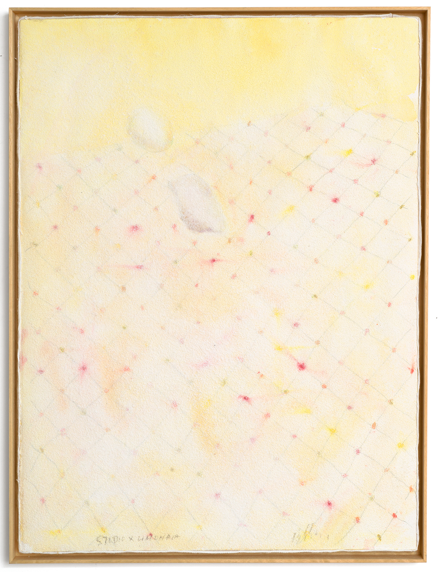 Untitled, from “Muitos estudos para uma casa de limão