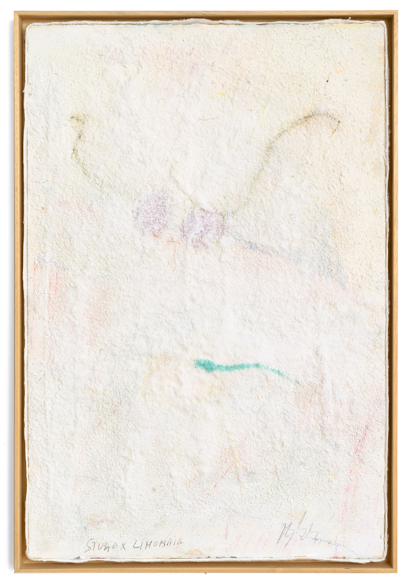 Untitled, from “Muitos estudos para uma casa de limão