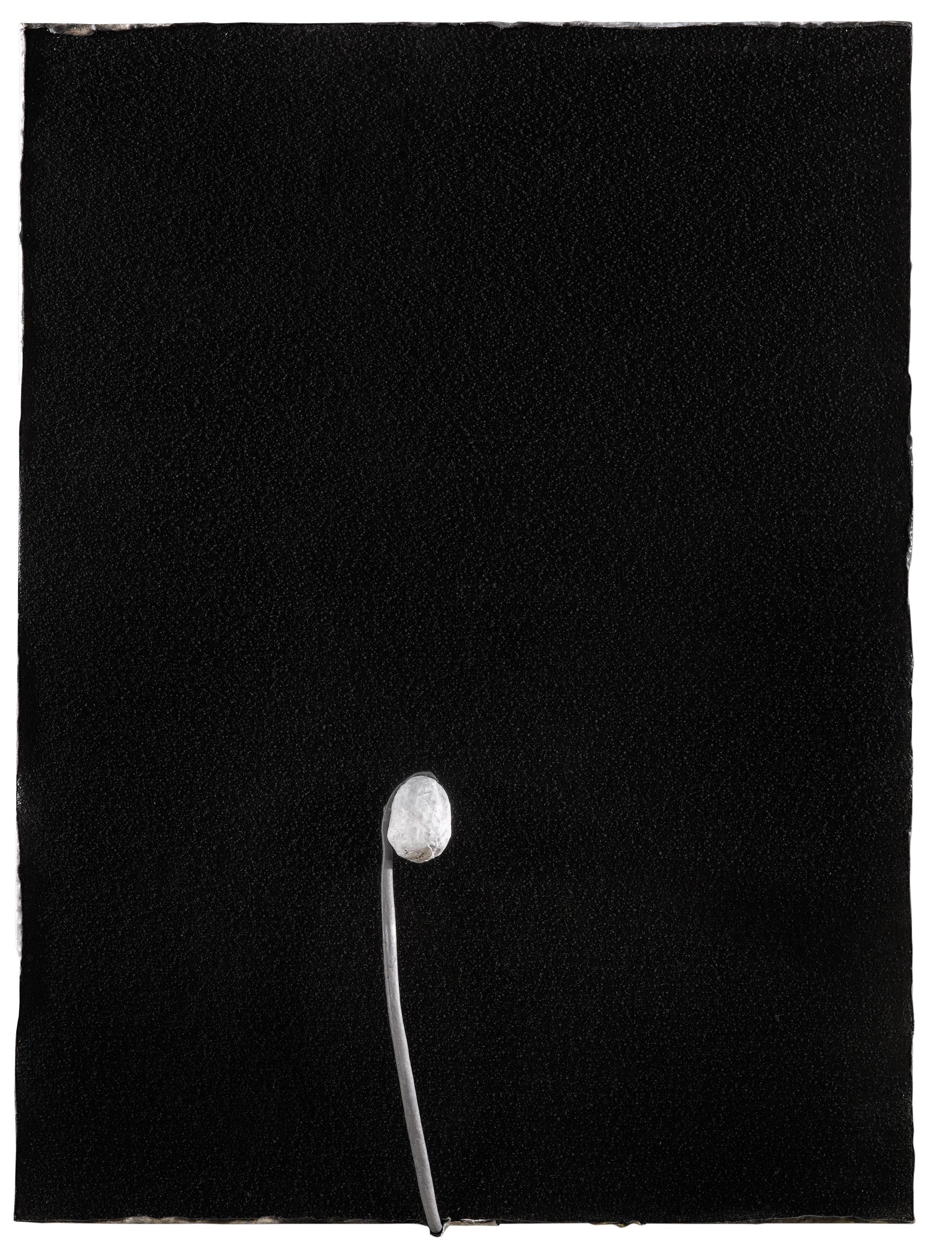 Pier Paolo Calzolari Work Photo