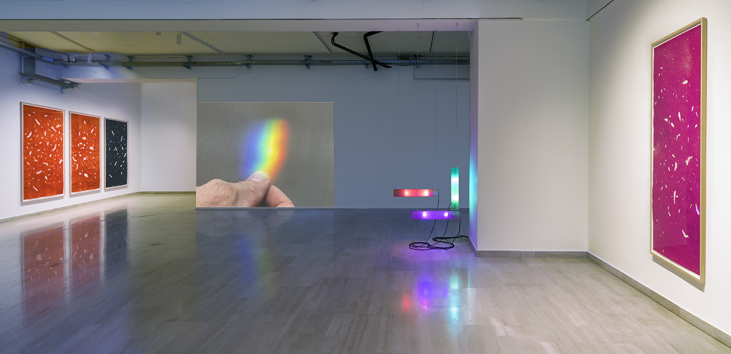 Repetto Gallery - Photo - 1